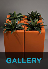 Show Chumbo Gallery